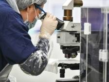 园动力澎湃｜一文速览《南方日报·清远观察》第2147期