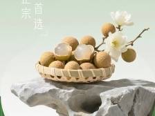 桂字号，圳闪耀！广西珍藏好物亮相深圳