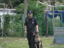 李上军：“犬”力出击，护卫平安