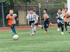 体育成为“校园基因”，中山铸就“冠军摇篮”｜动起来 更精彩