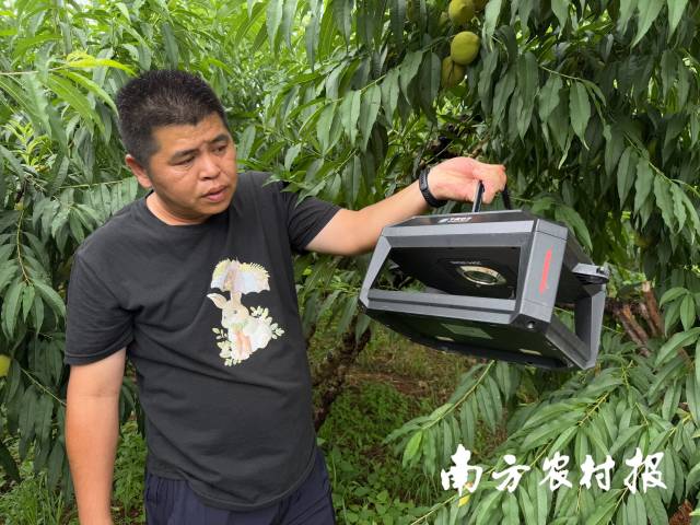 基因组所研发的便捷式性诱虫情测报仪能够自动识别害虫种类并传送到农户手机上。