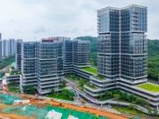 营收3年翻倍！龙岗工业软件集群藏着哪些增长密码？