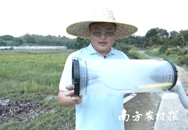 华南农业大学植物保护学院副教授桑文介绍福寿螺诱捕器 