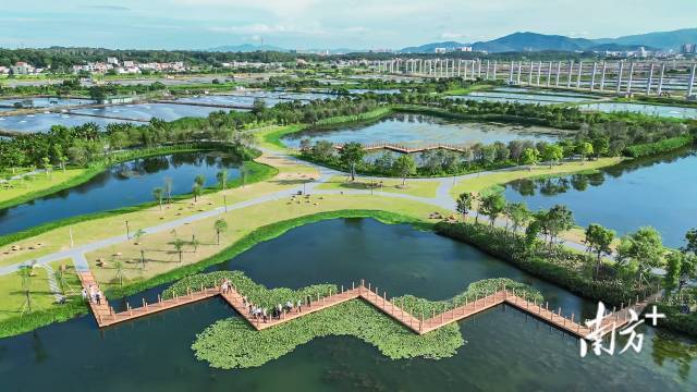 中山市推进淤泥资源化利用，建成南朗生态补水湿地。