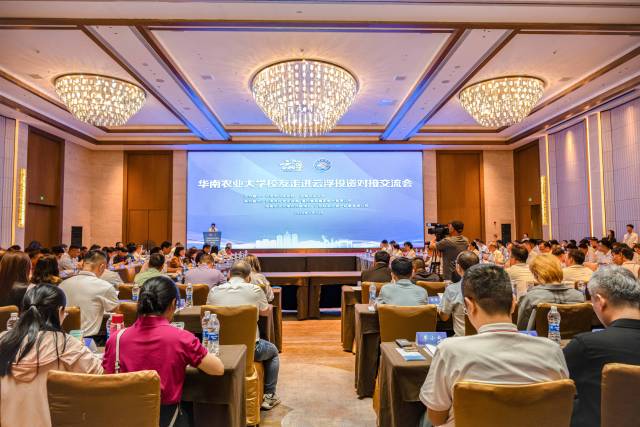 投资对接交流会大会现场