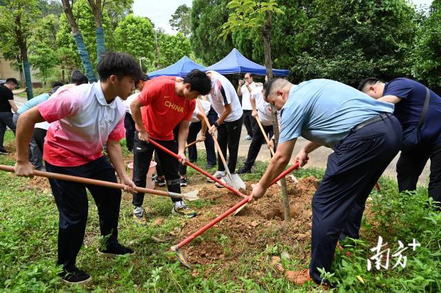植树现场。冯兆铭 摄