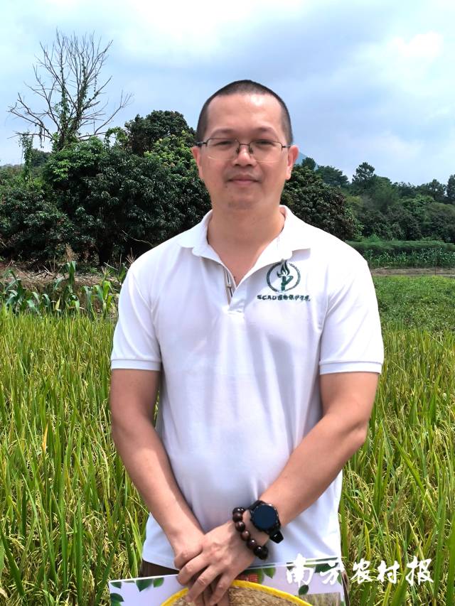 华南农业大学植物保护学院讲师舒灿伟