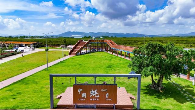 “程村蚝”是阳西县着力打造的农产品品牌之一