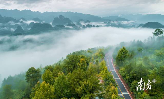 万山朝王国家石漠公园景观。赖文锋 摄