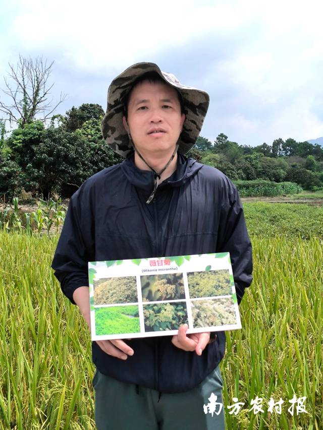 华南农业大学林学与风景园林学院副教授孙思 