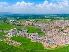 茂名打造海洋经济“四大引擎”，江门农业剑指900亿 | “百千万”周周见