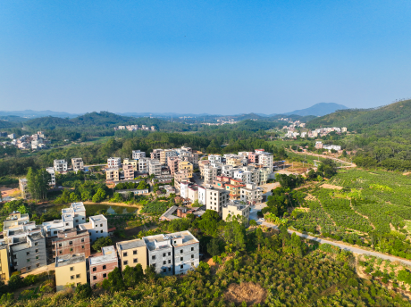 新塘村探索出村民共治共享乡村治理新模式。吴秒衡摄 