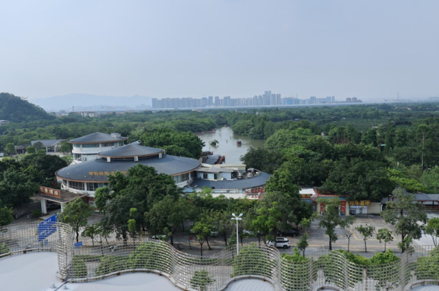 凭栏远眺,小鸟天堂尽收眼底 凭栏远眺,小鸟天堂尽收眼底