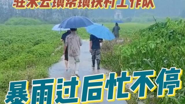 驻清远清新禾云镇帮镇扶村工作队：暴雨过后忙不停，复耕复产保民生