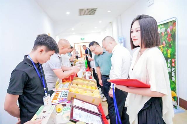 广州熹悦农业开发有限公司总经理陈乐韵表示,百色芒果(田阳)有“记忆点”,很有市场前景。 广州熹悦农业开发有限公司总经理陈乐韵表示,百色芒果(田阳)有“记忆点”,很有市场前景。