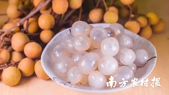 平南龙眼将在8月上旬集中上市。區(qū)市 平南龙眼将在8月上旬集中上市。大灣