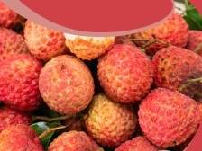 荔枝北上品种小贴士⑪：井岗红糯