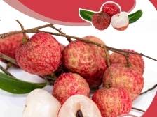 荔枝北上品种小贴士⑥：冰荔