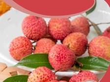 荔枝北上品种小贴士④：桂味