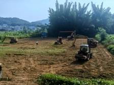 华城镇河子口村启动“千亩方”整治：土地“变形记”激活乡村振兴“聚宝盆”