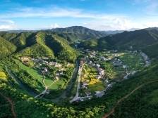 “绿美五华”出圈秘诀：树上长“票子”，生态变“金矿”｜三年逐梦 五华勇进