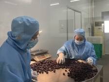 校地合作，推动平远南药“好品质”转化为“好价值”