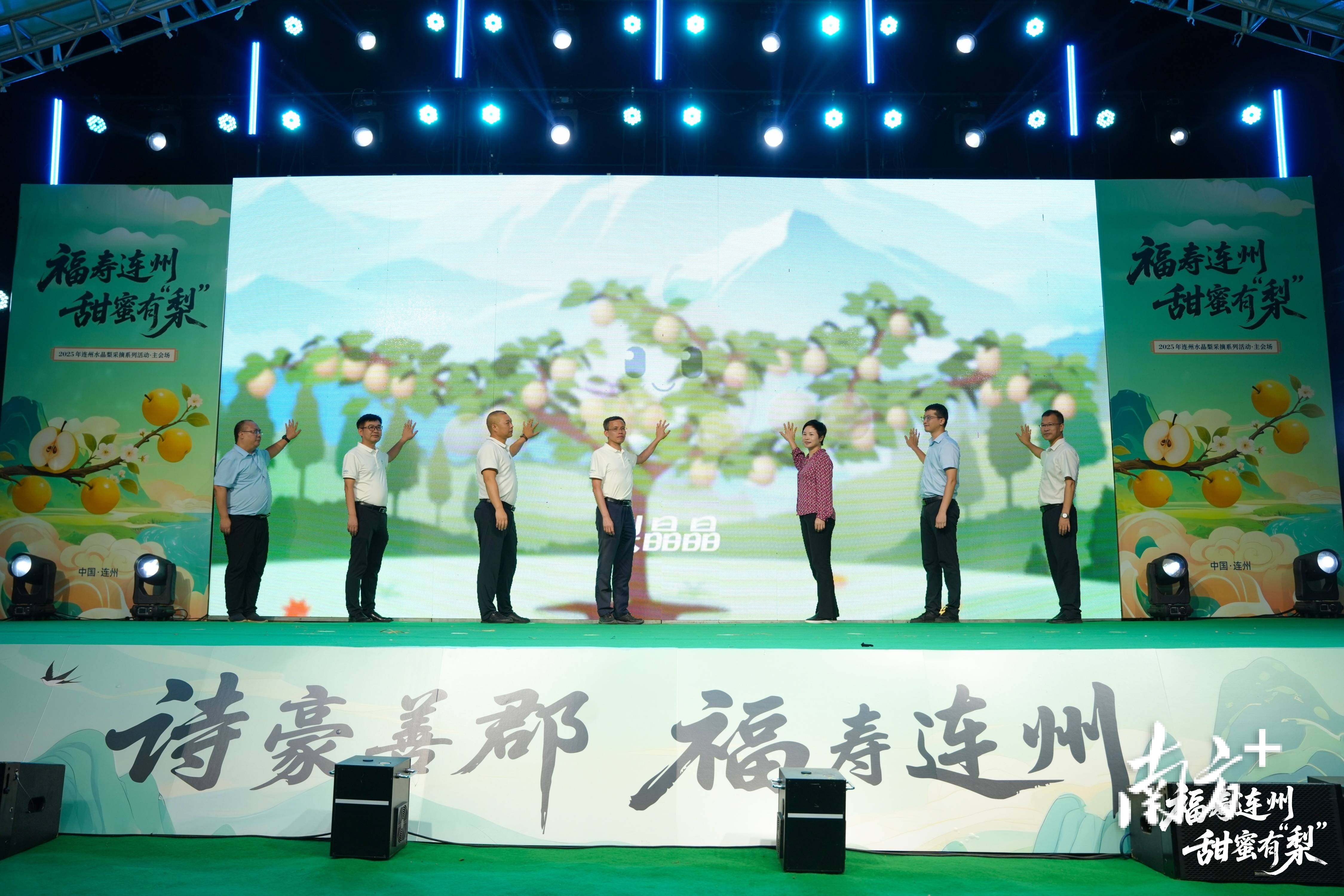 “福寿连州·甜蜜有梨”2025连州水晶梨采摘系列活动正式启动。水晶连州宣传部供图