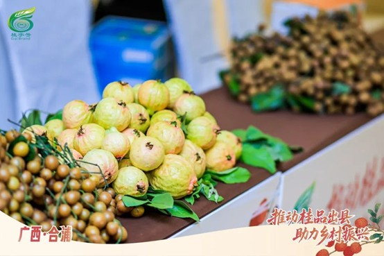 北海市合浦水果产品 北海市合浦水果产品