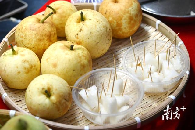 水晶梨试吃。黄滢 摄