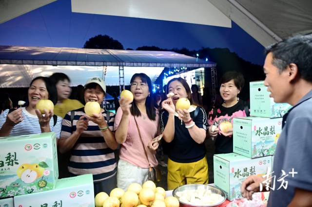 游客品尝水晶梨。黄滢 摄