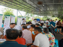 猜药谜、做香囊……茂名市中医院专家携学子下乡送健康