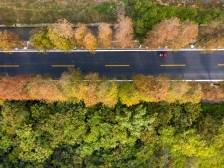 龙门县纪委监委：以高质量监督护航最美旅游公路建设