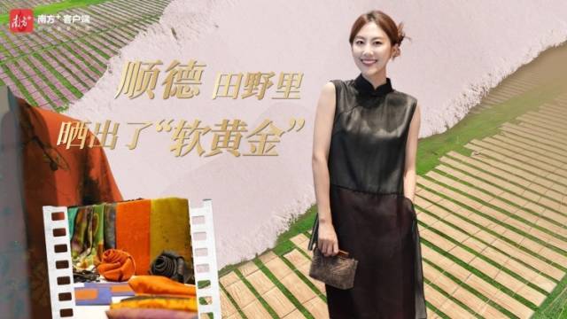 顺德田野里晒出了“软黄金”｜粤来粤好百千万