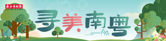 在广东绿美保护地，人与自然彼此治愈