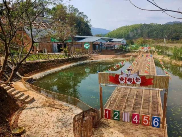 饶平狮头鹅文化园。