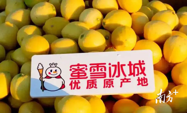 受访者供图