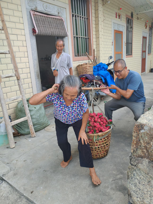 工作队为果农解运荔之忧。