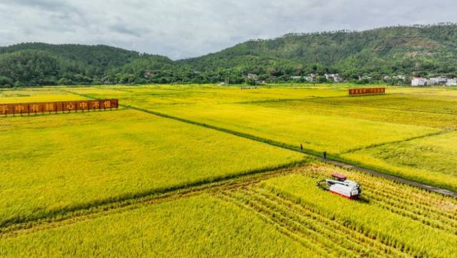 东源县柳城镇万绿智慧无人农场。