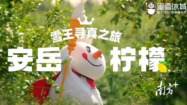 受访者供图