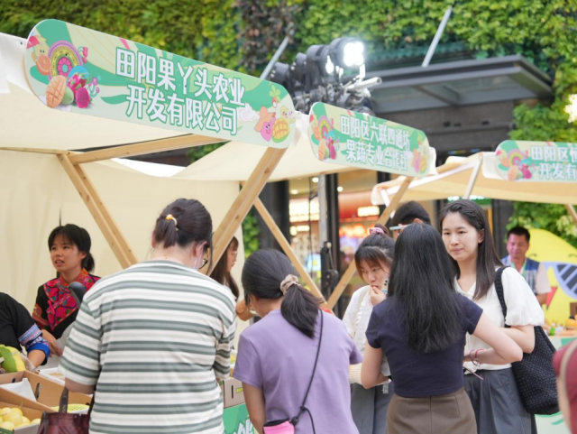 来往市民、游客纷纷驻足品尝田阳芒果。