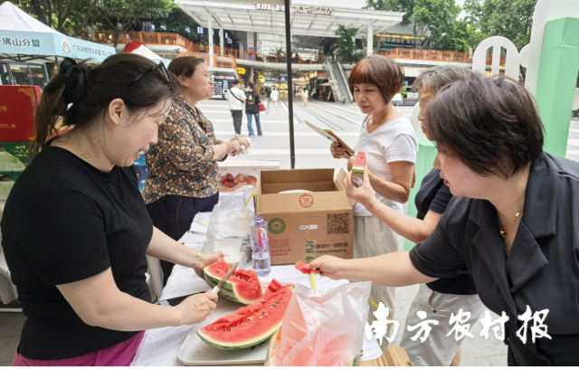 市民尝鲜新疆喀什疏附县西瓜。