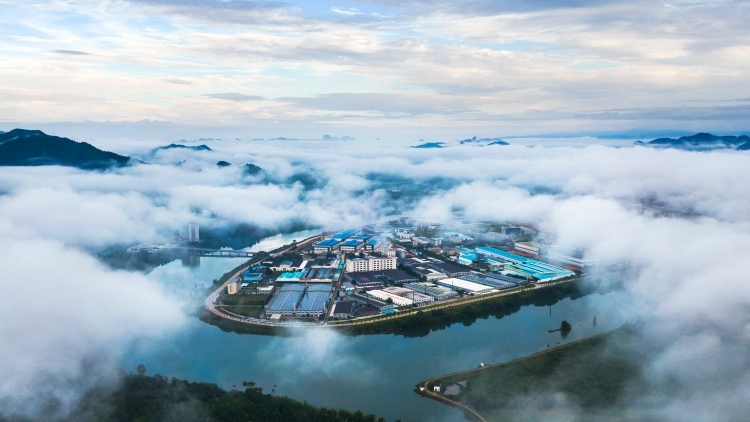 韶关仁化县：改革赋能存量用地 拓出工业发展新空间