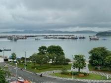 台风“韦帕”来袭！汕尾市启动防风Ⅳ级应急响应