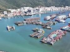 “韦帕”将至，广东省防总要求全面落实防台风“六个百分百” | 滚动更新