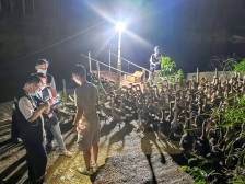 怕鹅“飞”了！开平法院火速保全3000只肉鹅