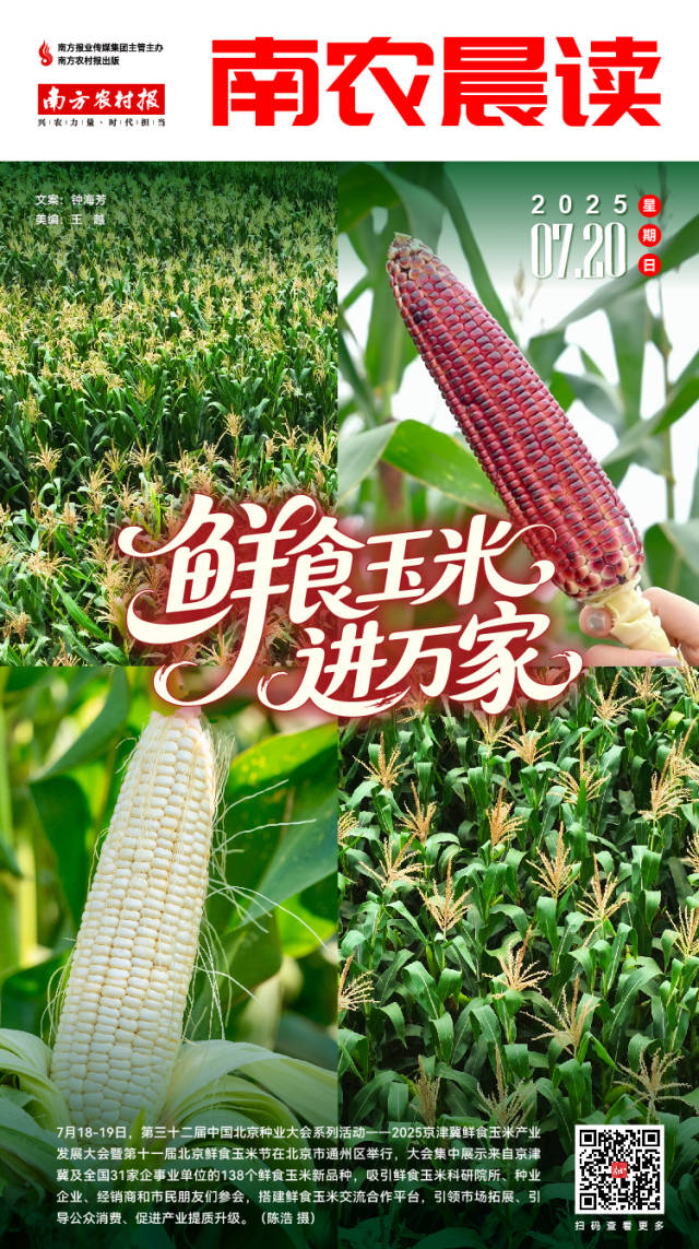 南方农村报 巢芮 制图