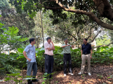 助推“荔枝林下经济”，省农科院专家为河源古竹镇“送技术”