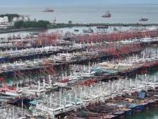 “韦帕”将至，闸坡渔港千船已归