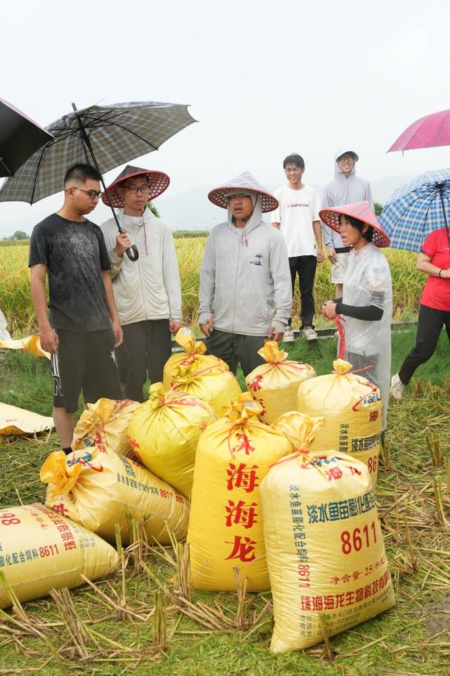 沿江高速火山隧道估量10月贯串 会理至攀枝花路段估量往年12月尾通车