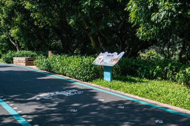 环西丽湖绿道將綠道上出現的物種以科普標識牌、路面方式方式進行科普 